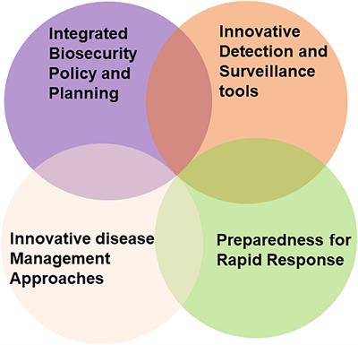 Enhancing biosecurity against virus disease threats to Australian grain crops: current situation and future prospects